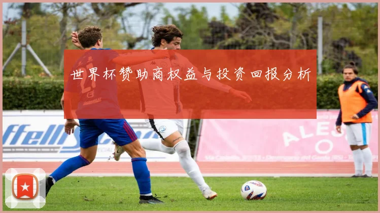 世界杯赞助商权益与投资回报分析