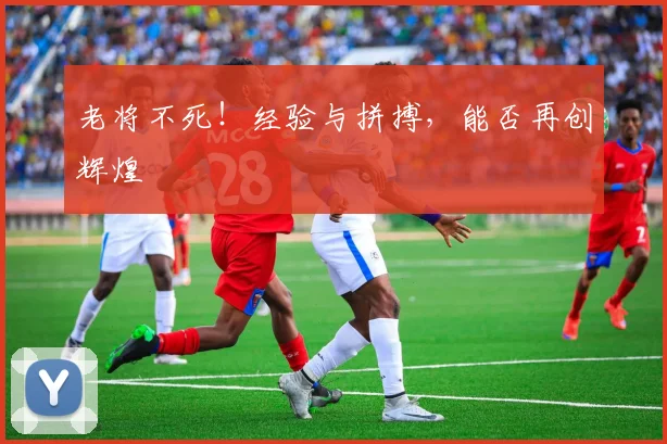 老将不死！经验与拼搏，能否再创辉煌