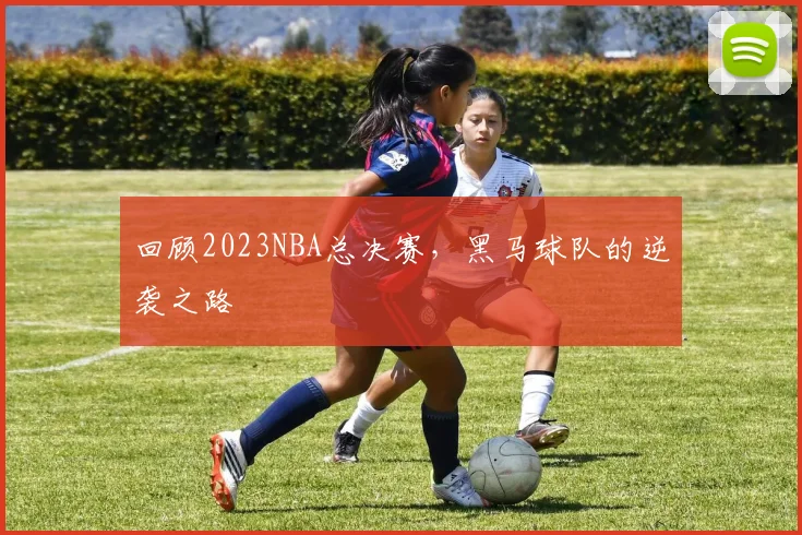 回顾2023NBA总决赛，黑马球队的逆袭之路
