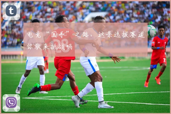 电竞“国手”之路，这条选拔赛道你敢来挑战吗