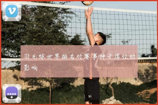 羽毛球世界排名对赛事种子席位的影响