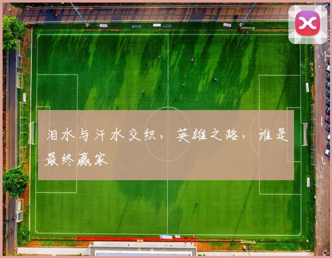 泪水与汗水交织，英雄之路，谁是最终赢家