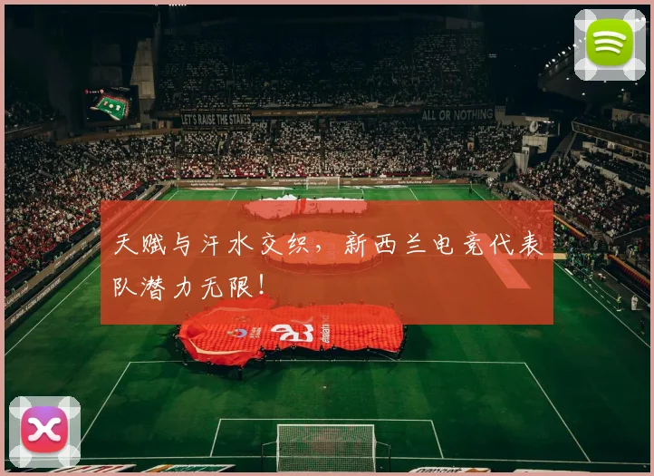 天赋与汗水交织，新西兰电竞代表队潜力无限！