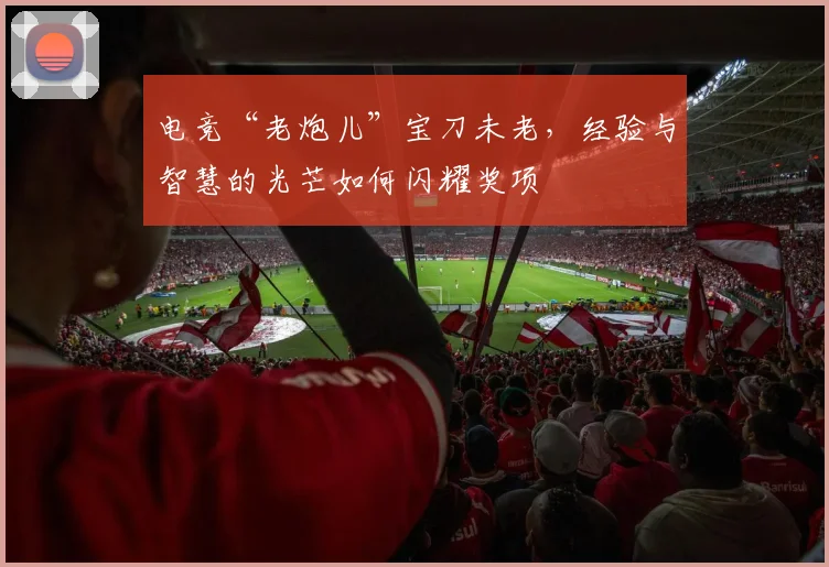 电竞“老炮儿”宝刀未老,经验与智慧的光芒如何闪耀奖项