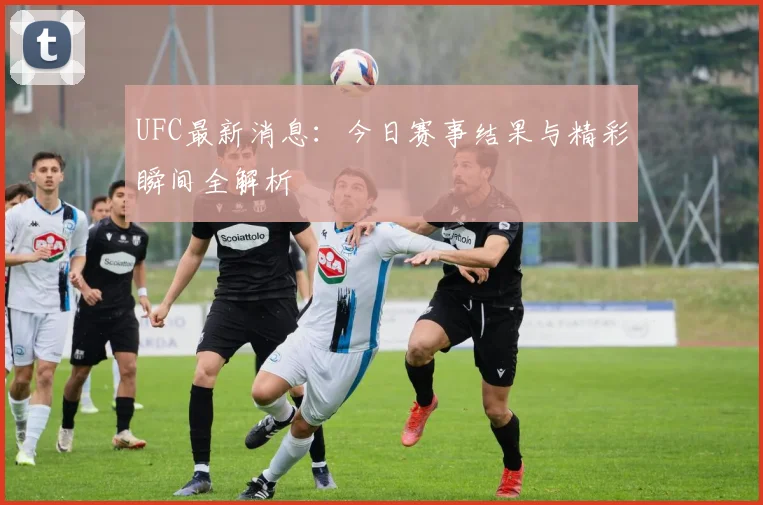 UFC最新消息：今日赛事结果与精彩瞬间全解析