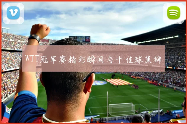 WTT冠军赛精彩瞬间与十佳球集锦
