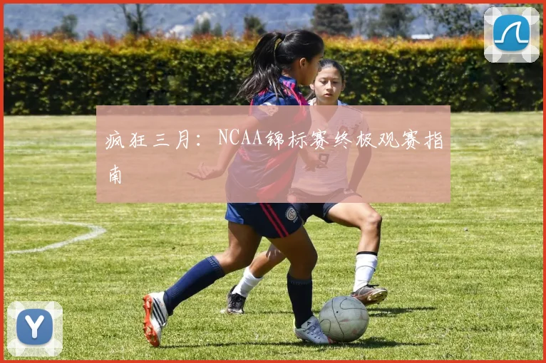 疯狂三月:NCAA锦标赛终极观赛指南