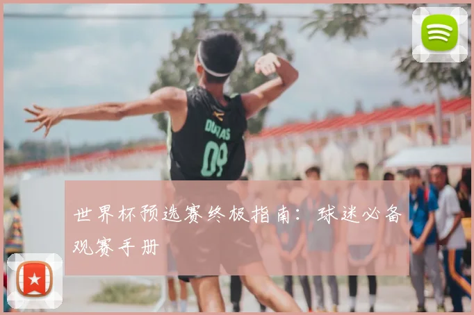 世界杯预选赛终极指南：球迷必备观赛手册