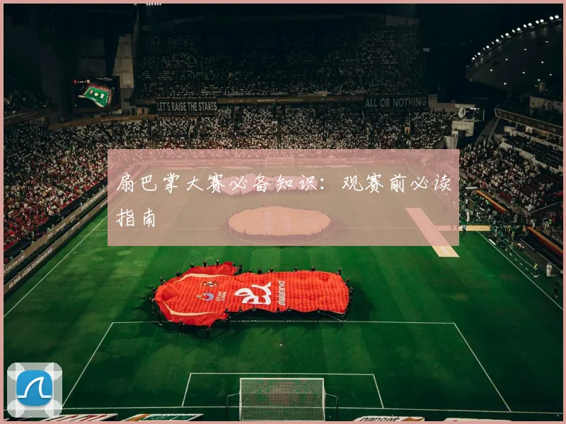 扇巴掌大赛必备知识：观赛前必读指南