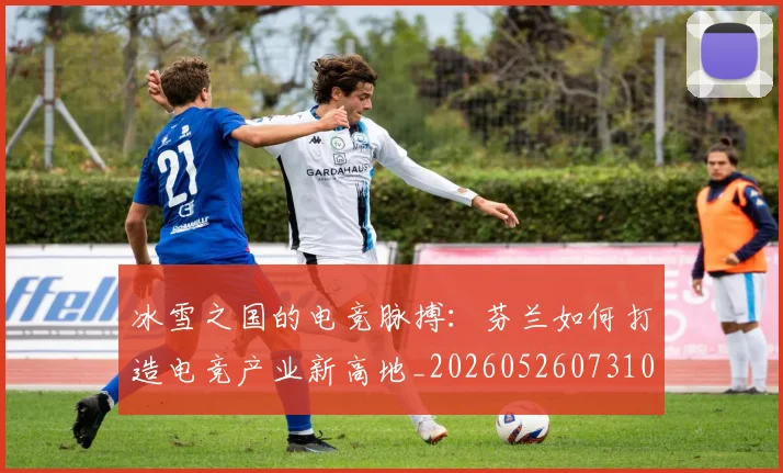 冰雪之国的电竞脉搏:芬兰如何打造电竞产业新高地_20260526073104