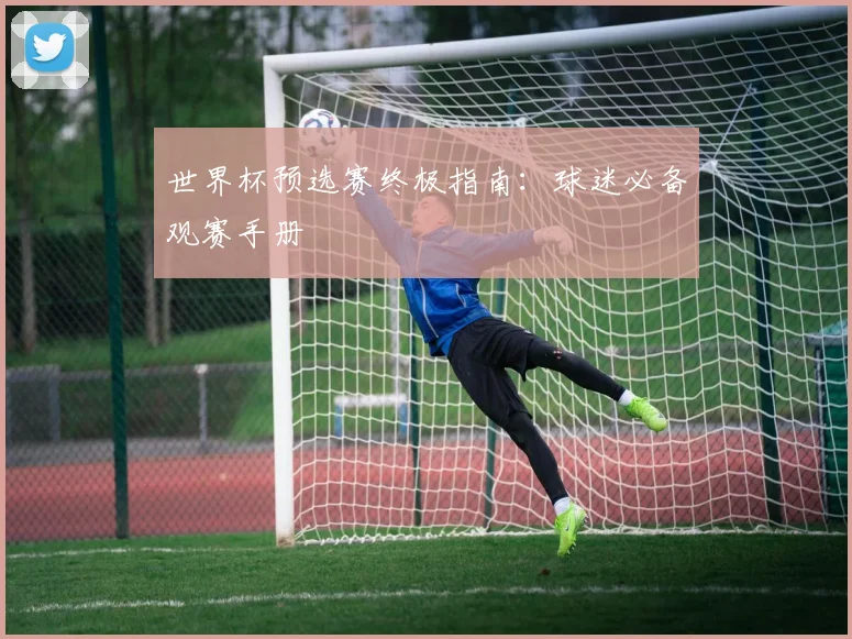 世界杯预选赛终极指南:球迷必备观赛手册