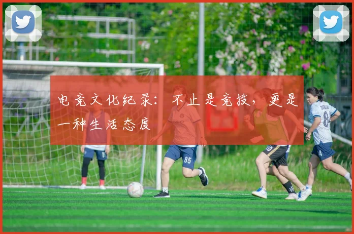 电竞文化纪录：不止是竞技，更是一种生活态度