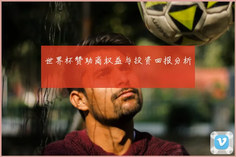世界杯赞助商权益与投资回报分析