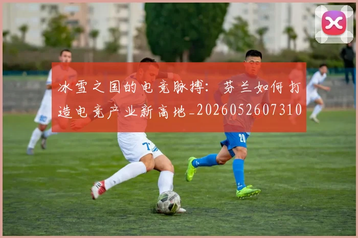 冰雪之国的电竞脉搏：芬兰如何打造电竞产业新高地_20260526073104