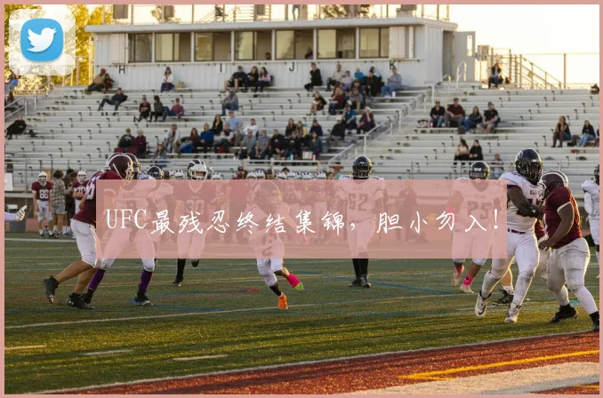 UFC最残忍终结集锦，胆小勿入！