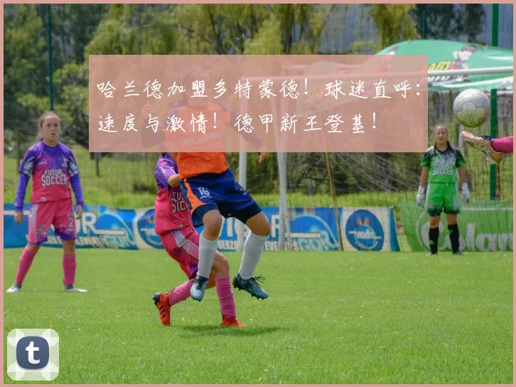 哈兰德加盟多特蒙德！球迷直呼：速度与激情！德甲新王登基！