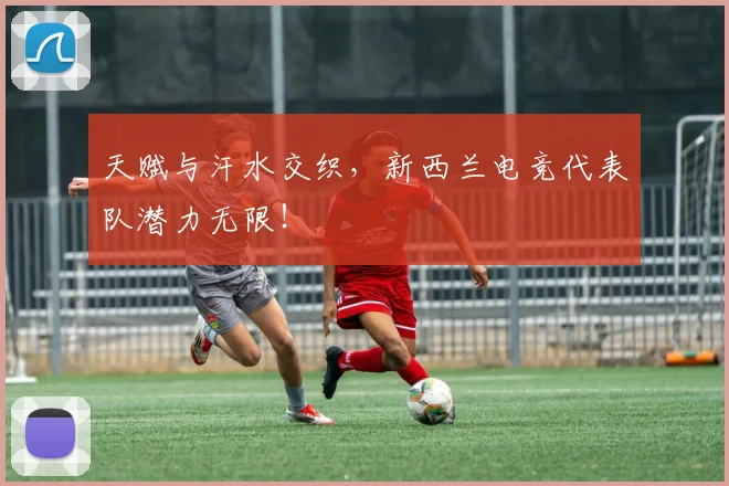 天赋与汗水交织，新西兰电竞代表队潜力无限！