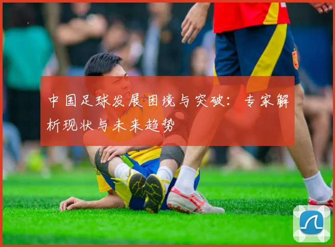中国足球发展困境与突破:专家解析现状与未来趋势