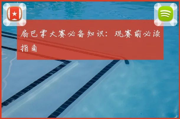 扇巴掌大赛必备知识：观赛前必读指南