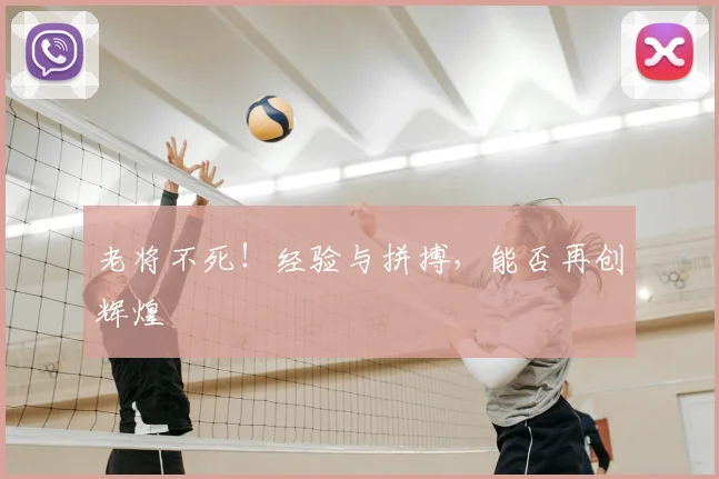 老将不死!经验与拼搏,能否再创辉煌